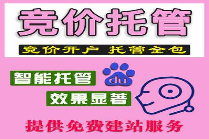 案例分析：信息流广告投放助力品牌升级
